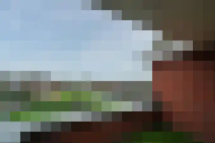 Schiksedijk 11 America thumbnail 32