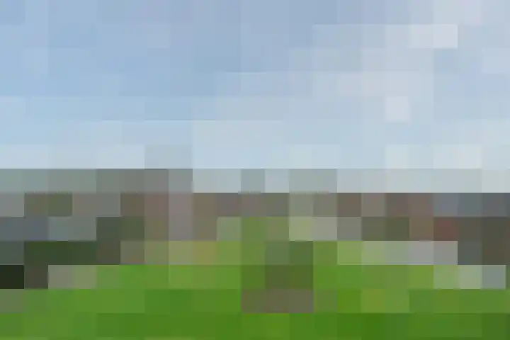 Schiksedijk 11 America thumbnail 33