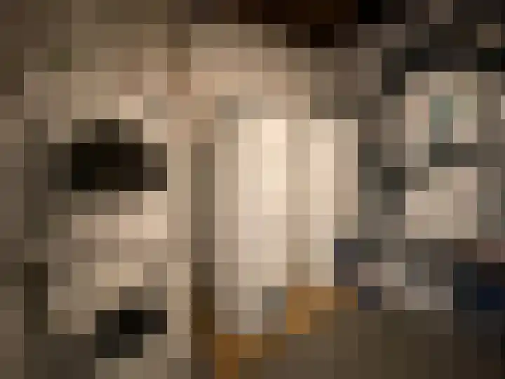 Schilbergerstraat 24 Echt thumbnail 19