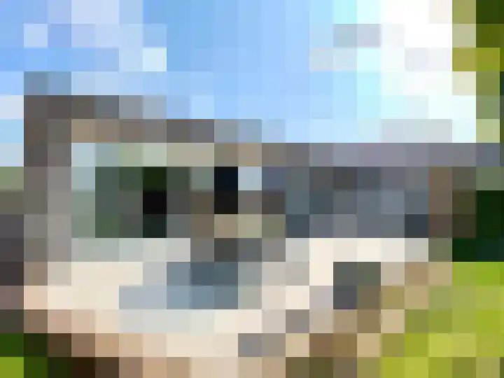 Schilbergerstraat 24 Echt thumbnail 27