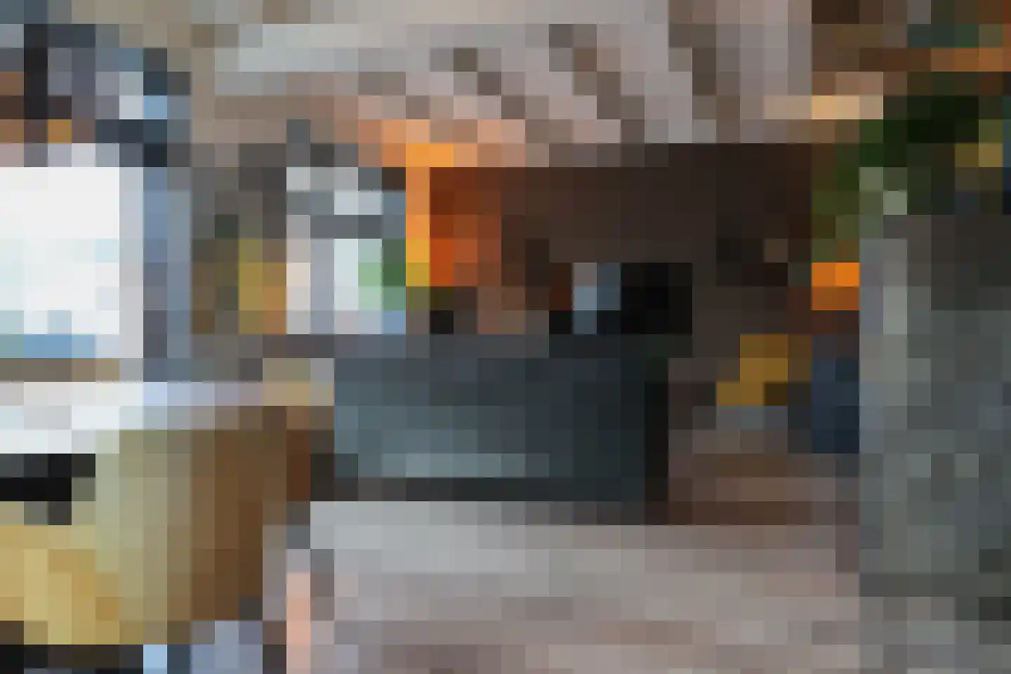 Schilcampen 52 Franeker thumbnail 17