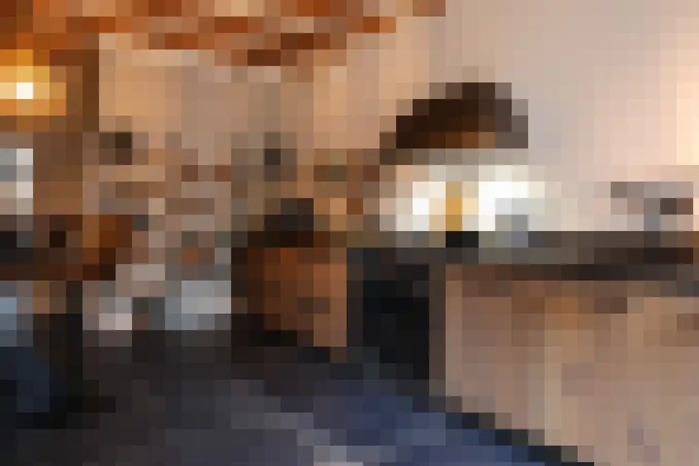 Schilcampen 52 Franeker thumbnail 31