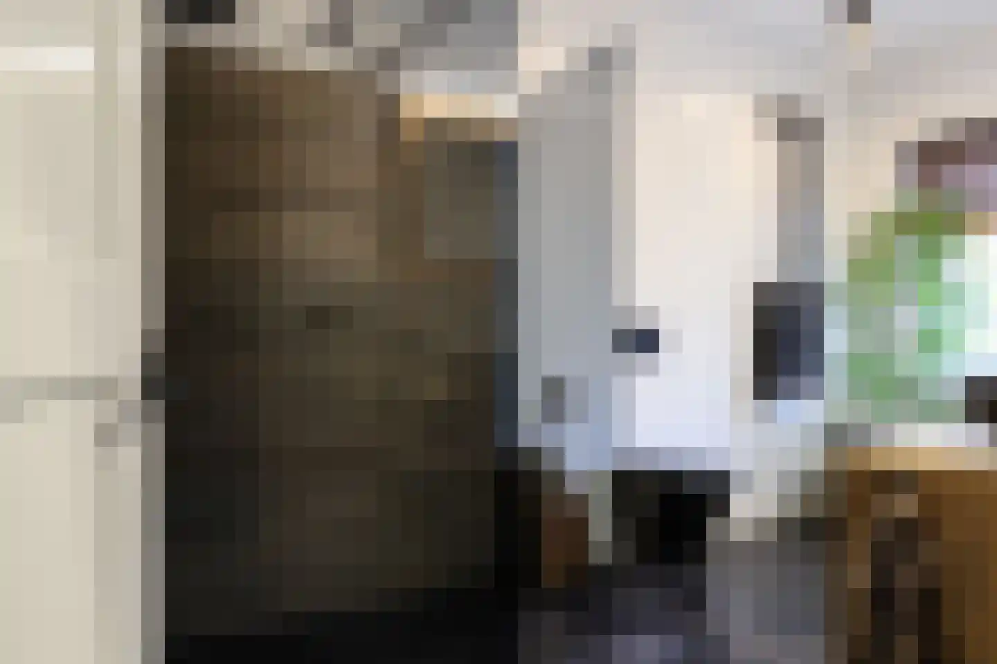 Schilcampen 52 Franeker thumbnail 50