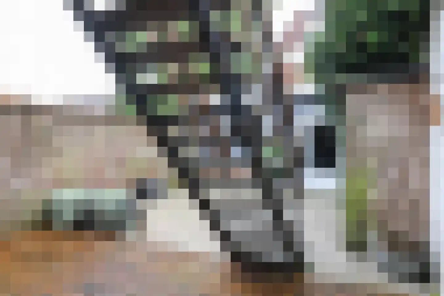 Schilcampen 52 Franeker thumbnail 66
