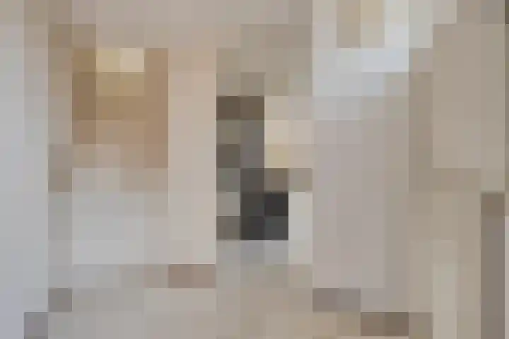 Schild 26 Gemert thumbnail 12