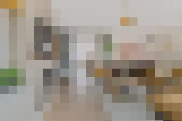 Schilder 9 Assendelft thumbnail 13