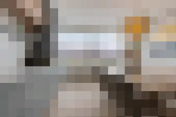 Schilder 9 Assendelft thumbnail 16