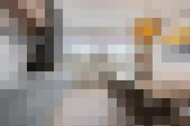 Schilder 9 Assendelft thumbnail 17