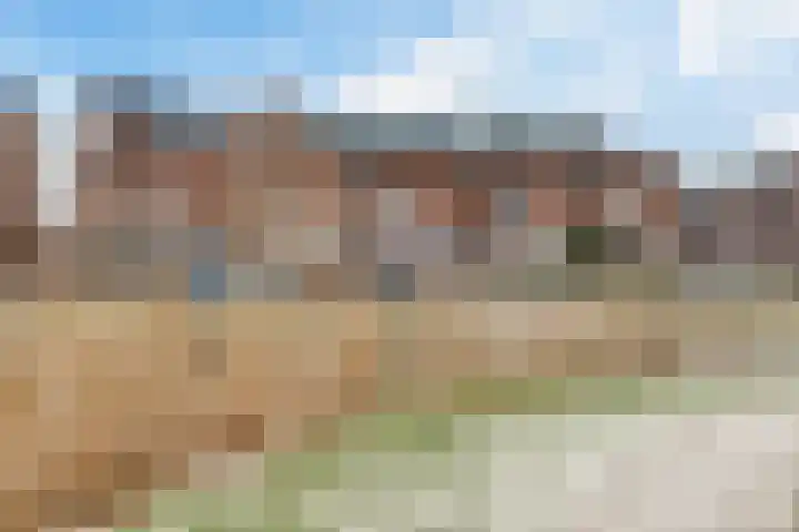 Schilder 9 Assendelft foto 2