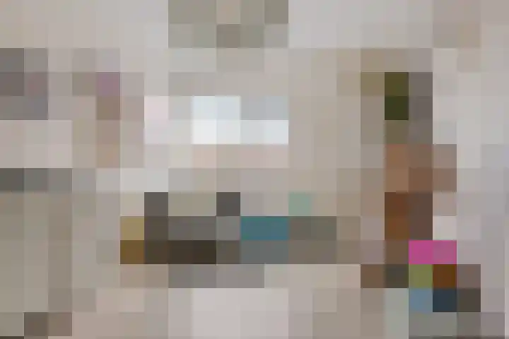 Schilder 9 Assendelft thumbnail 27