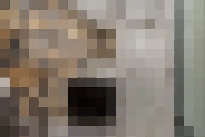Schilder 9 Assendelft thumbnail 29