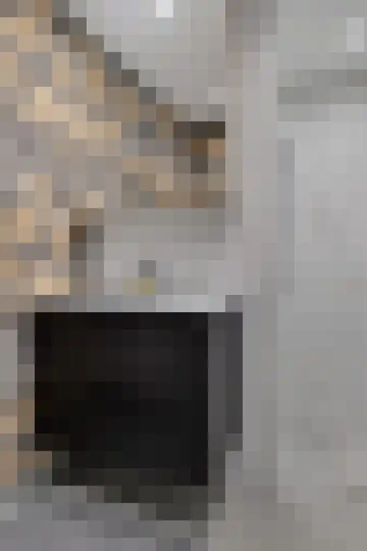 Schilder 9 Assendelft thumbnail 32