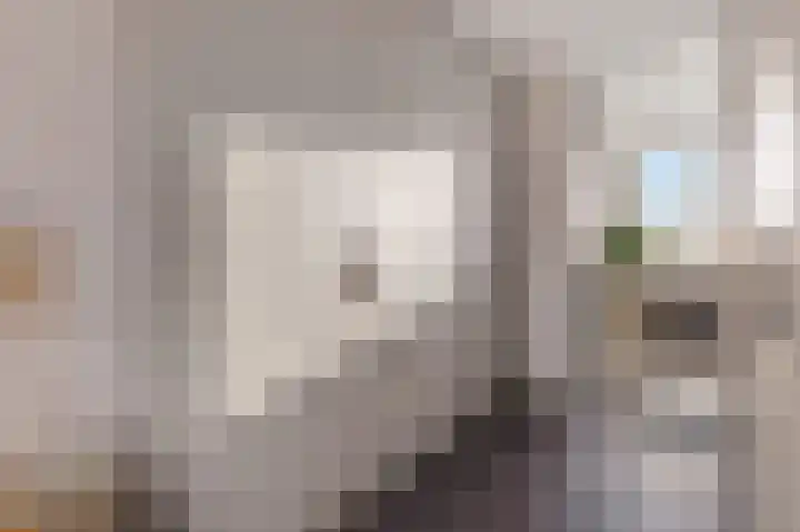 Schilder 9 Assendelft thumbnail 40