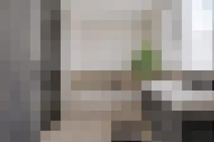 Schilder 9 Assendelft thumbnail 42