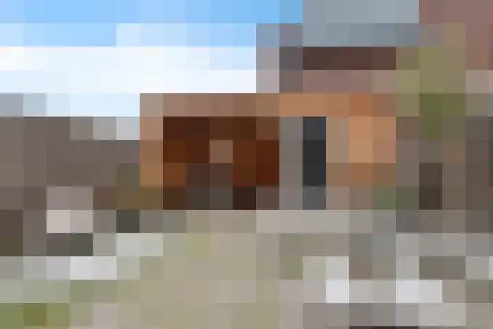 Schilder 9 Assendelft thumbnail 47