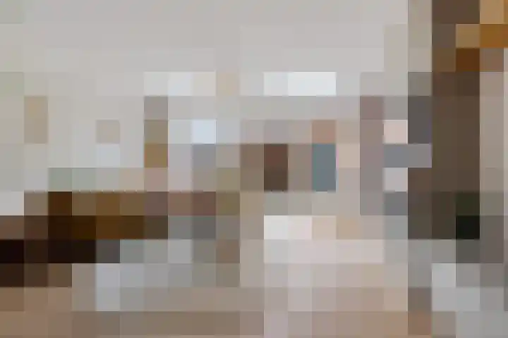 Schilder 9 Assendelft thumbnail 9