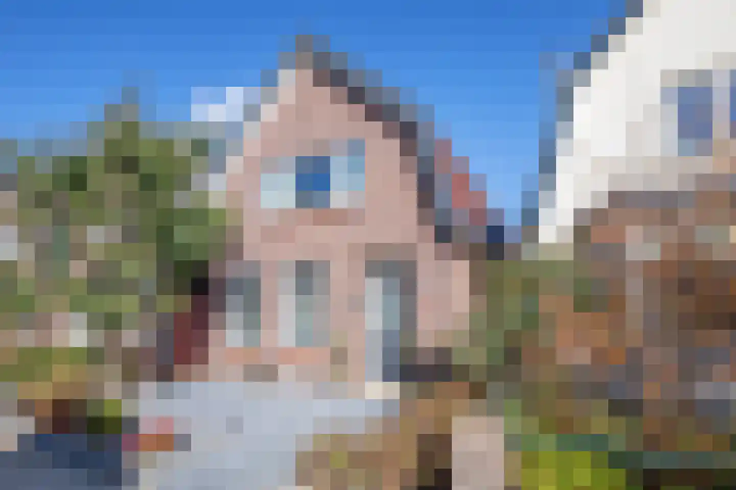 Schilderend 87 in Den Burg