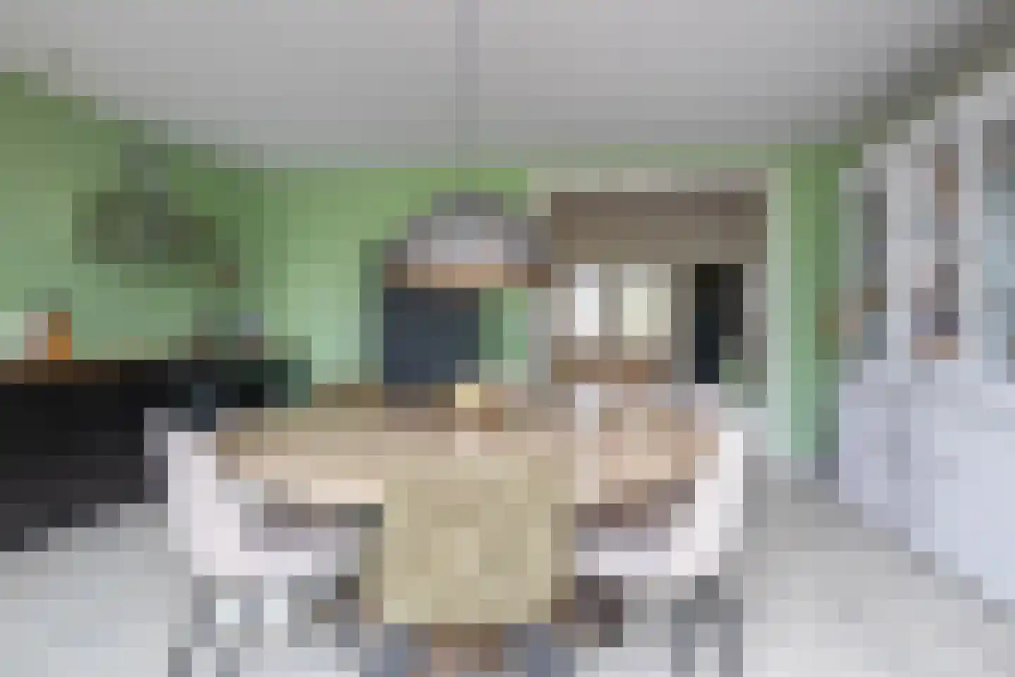 Schilderend 87 Den Burg thumbnail 16