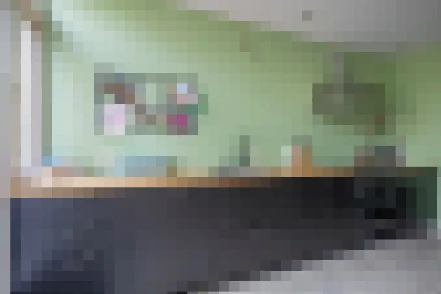 Schilderend 87 Den Burg thumbnail 17