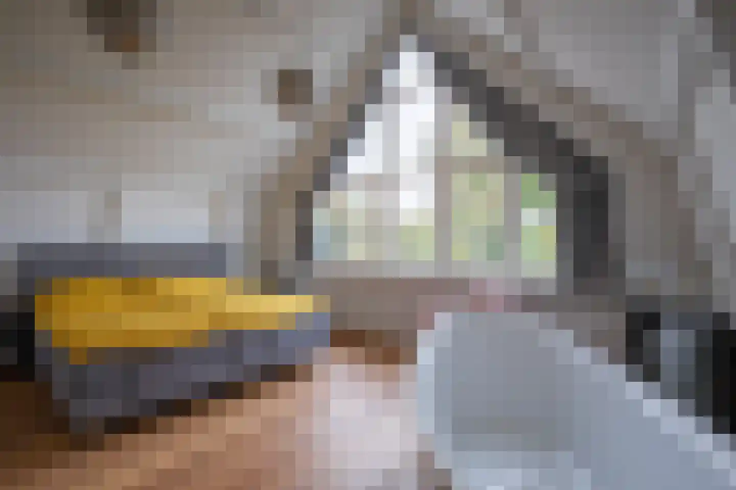 Schilderend 87 Den Burg thumbnail 28