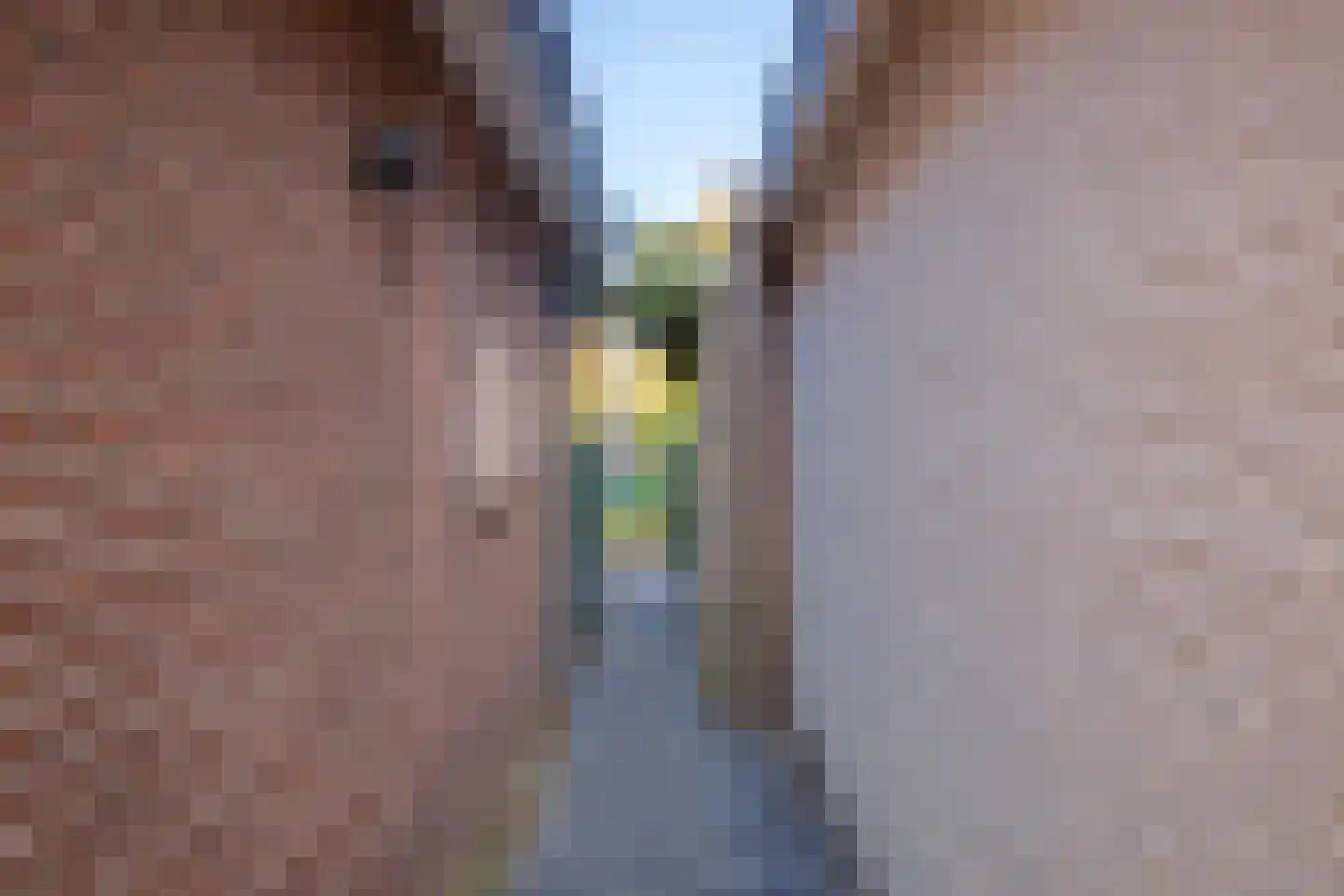 Schilderend 87 Den Burg thumbnail 46