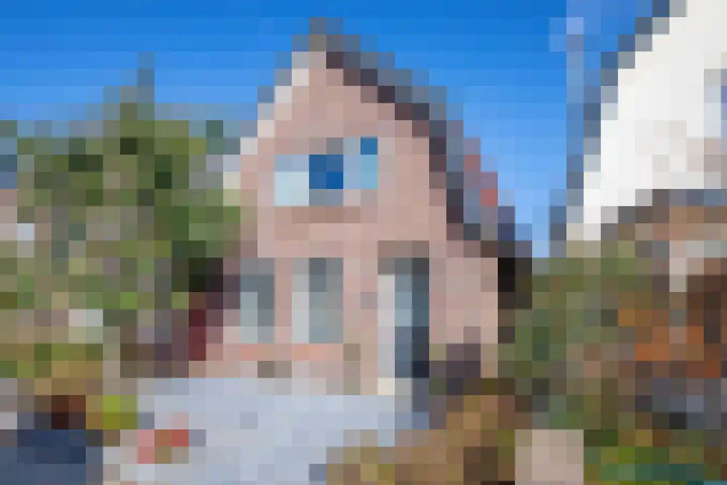Schilderend 87 Den Burg thumbnail 50