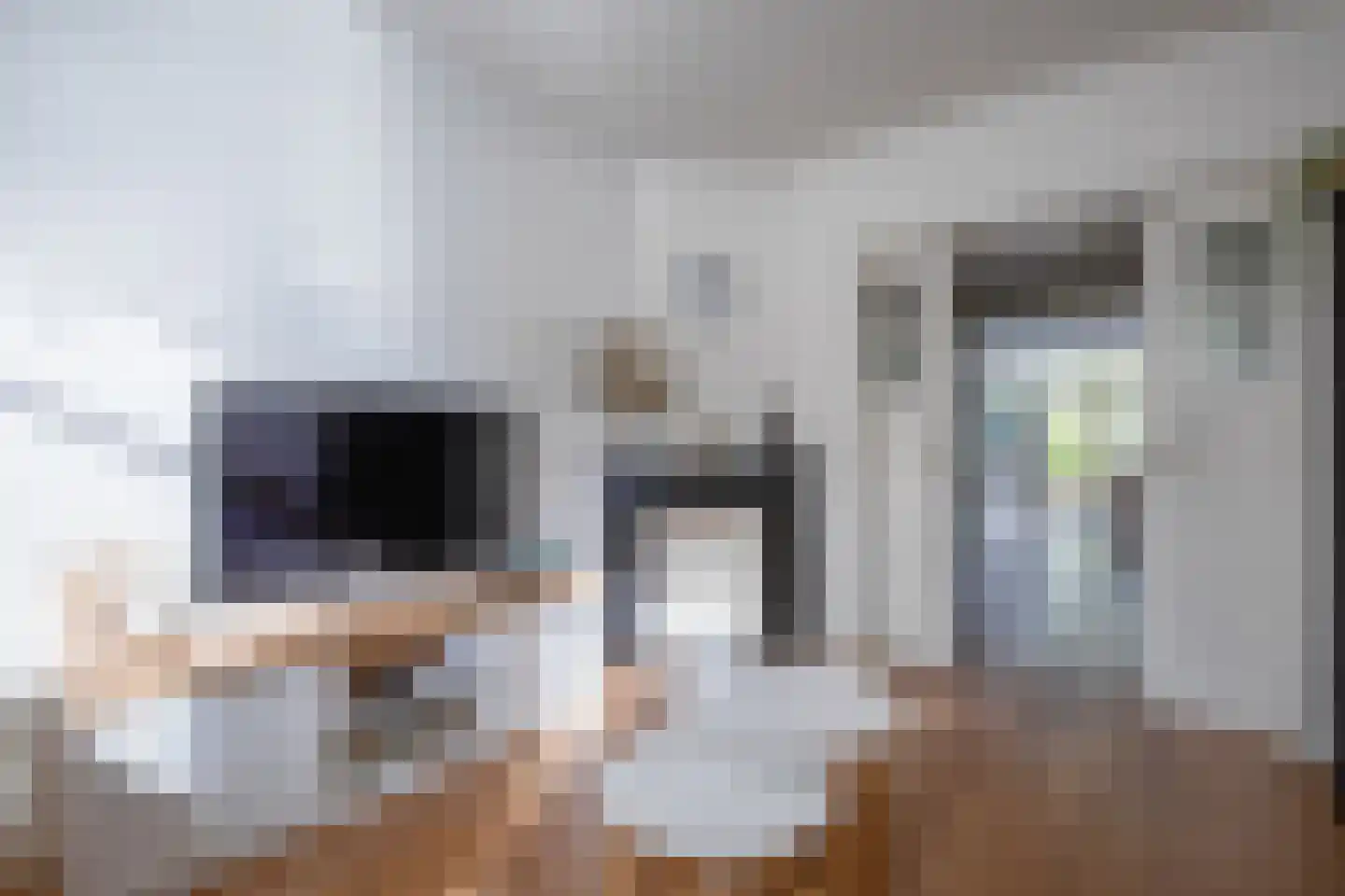 Schilderend 87 Den Burg thumbnail 7