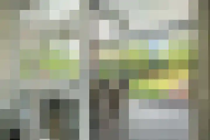 Schilderslaan 15 Veendam thumbnail 32