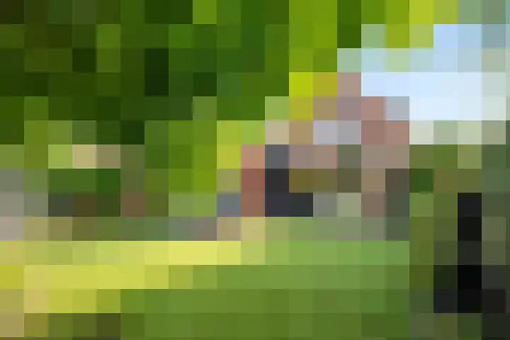 Schilderslaan 15 Veendam thumbnail 36