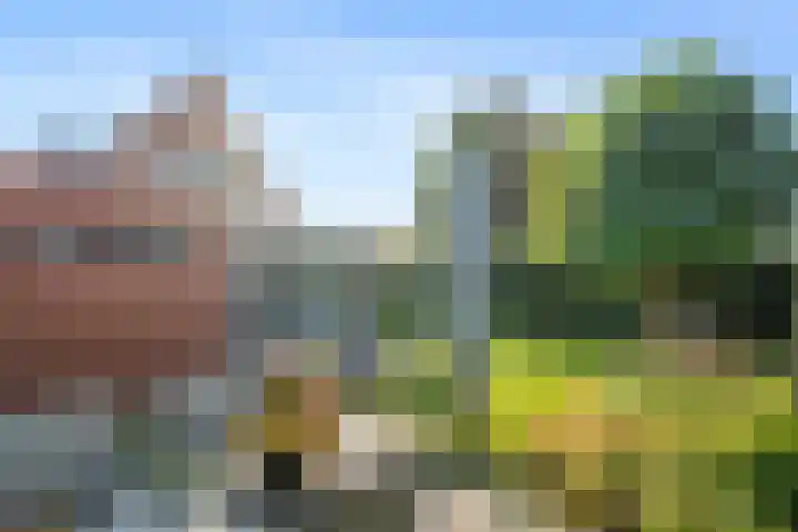 Schilderslaan 15 Veendam thumbnail 39