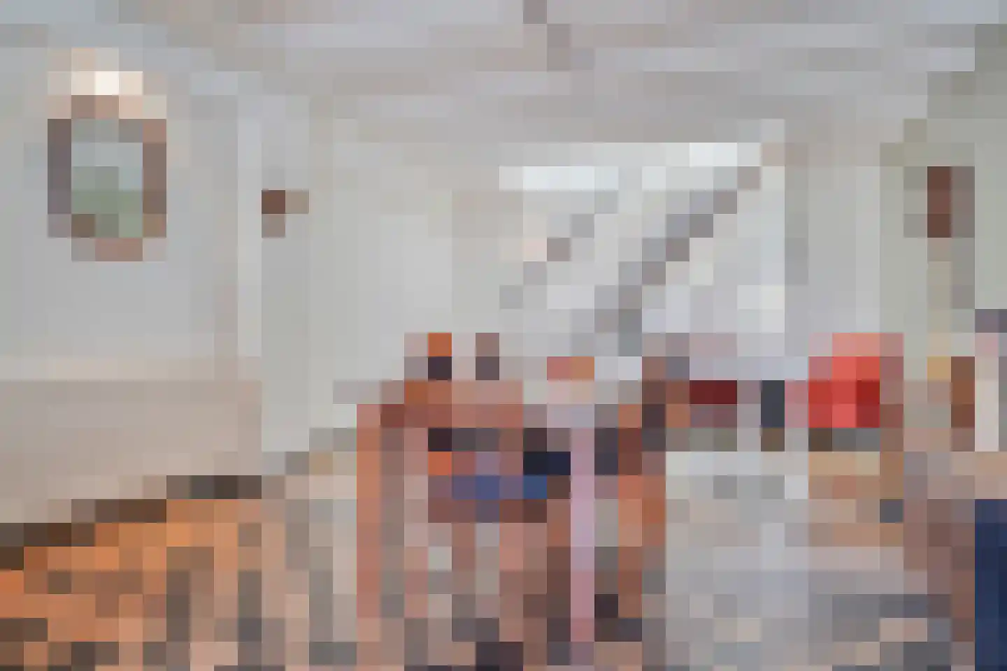 Schilderstraat 15 's-Hertogenbosch thumbnail 11