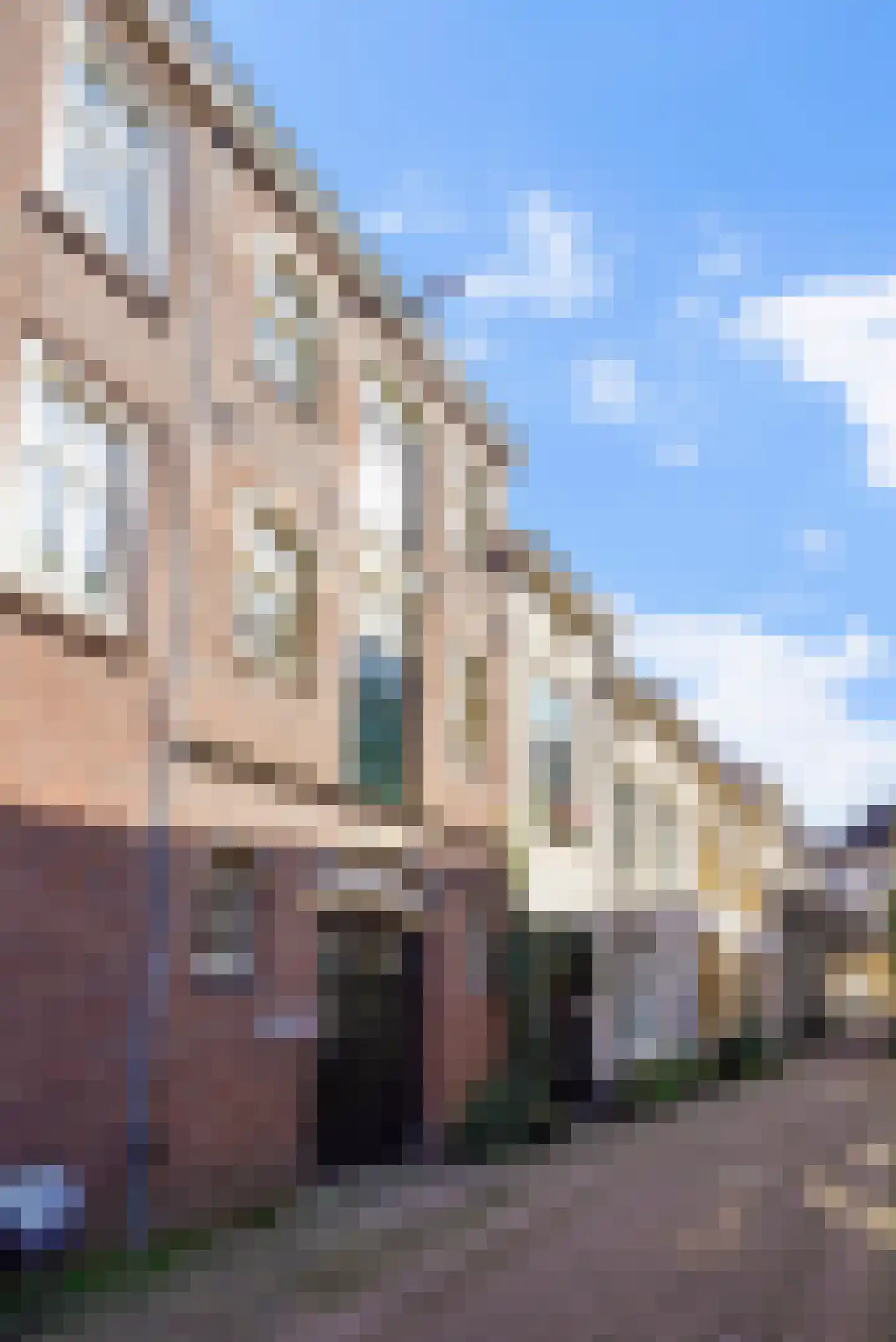 Schilderstraat 15 's-Hertogenbosch foto 3
