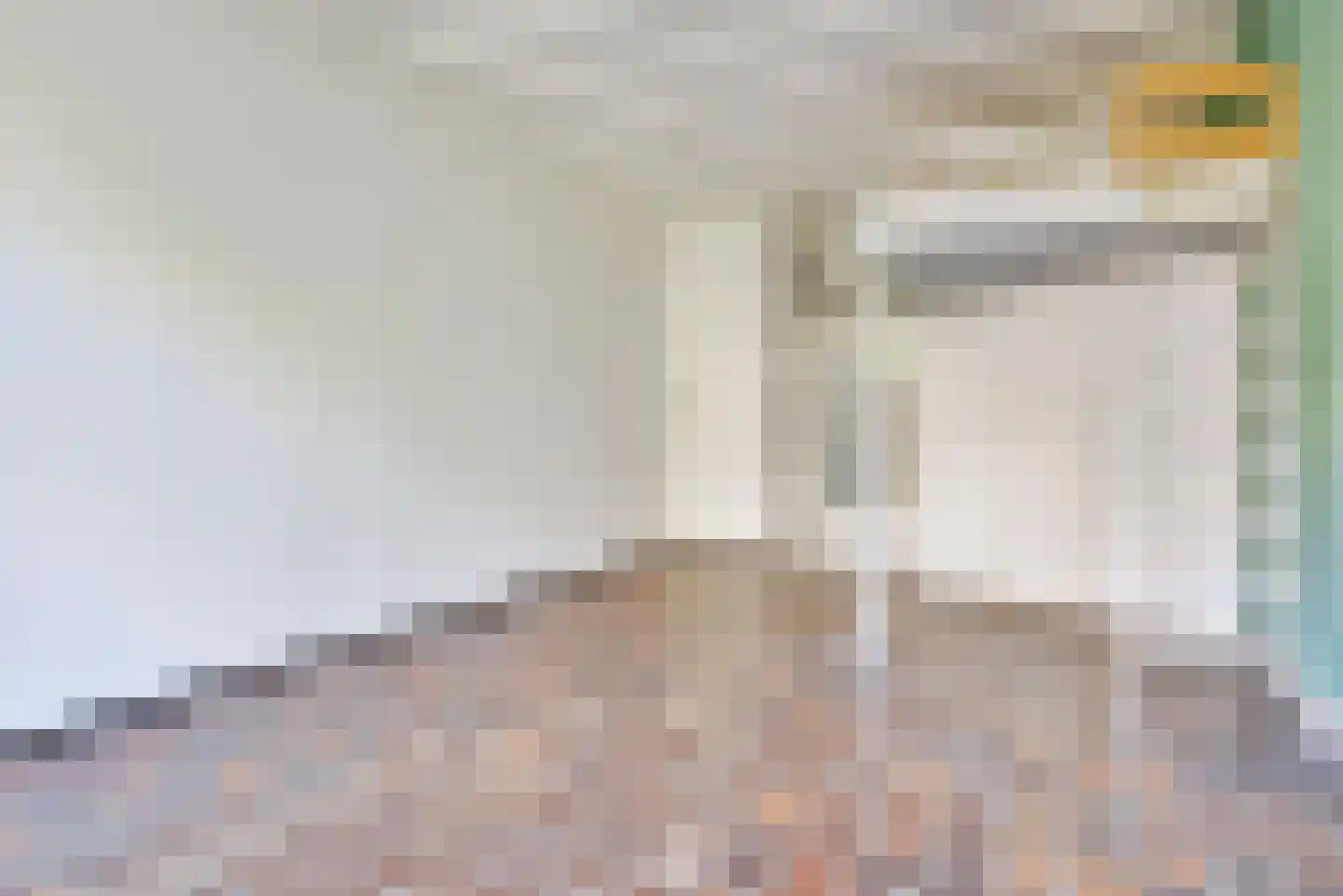 Schilderstraat 15 's-Hertogenbosch thumbnail 30