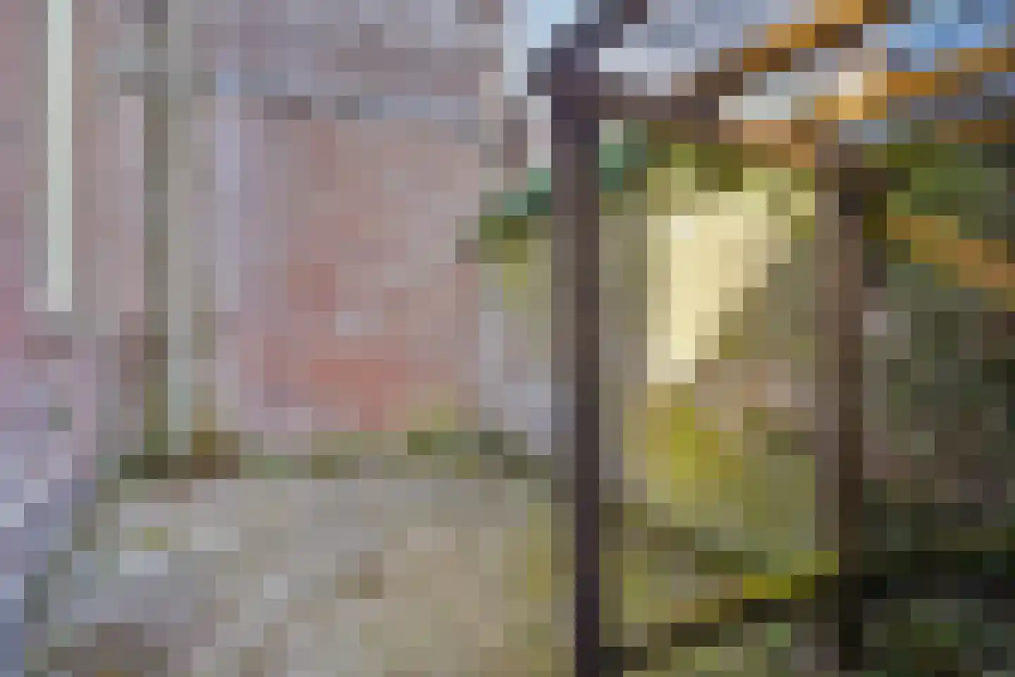Schilderstraat 15 's-Hertogenbosch thumbnail 32