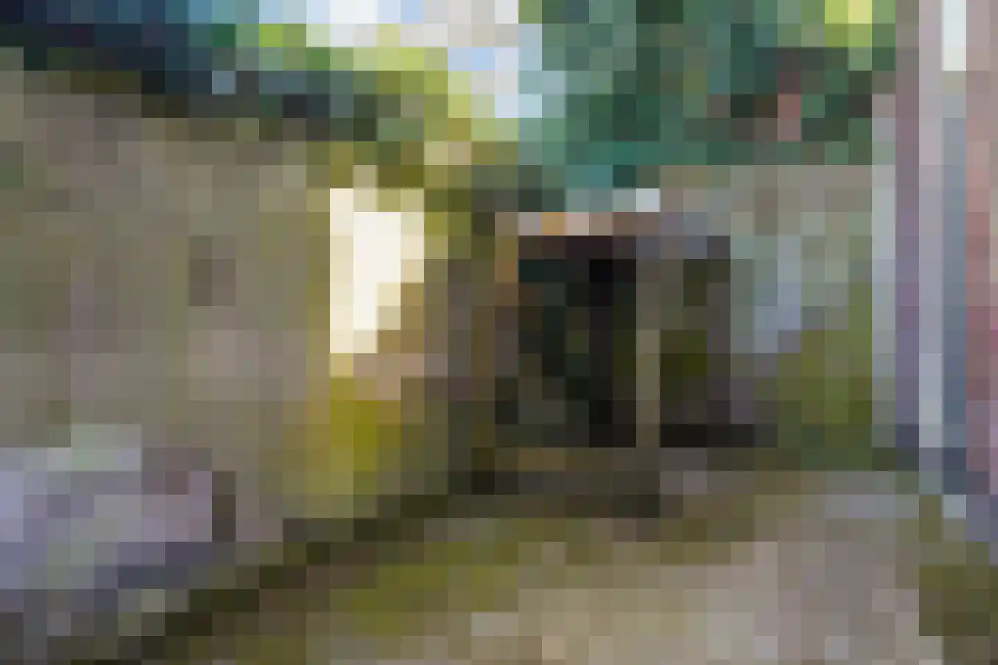 Schilderstraat 15 's-Hertogenbosch thumbnail 34
