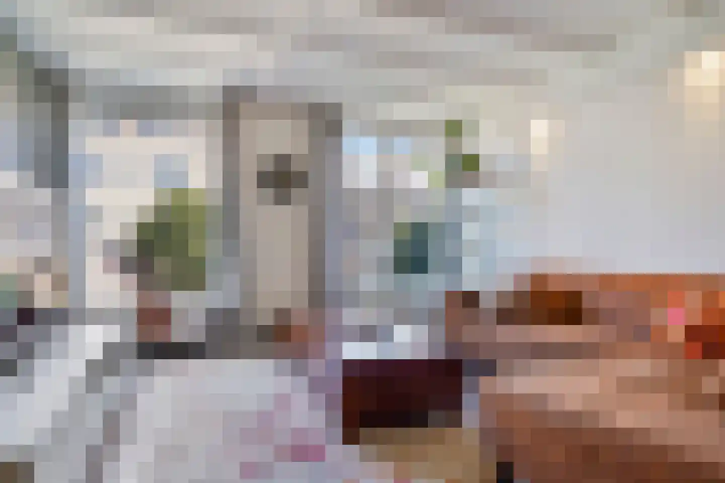 Schilderstraat 15 's-Hertogenbosch thumbnail 5