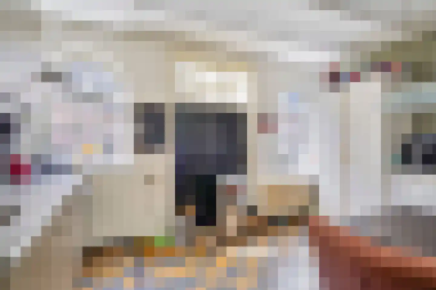 Schilderstraat 15 's-Hertogenbosch thumbnail 7