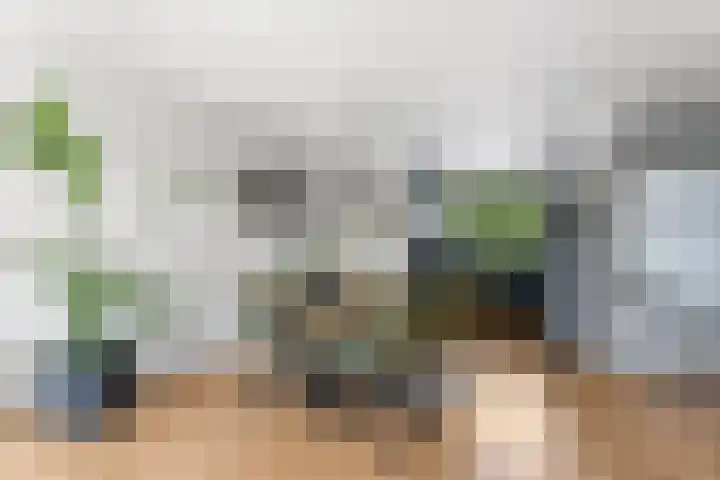 Schildmos 44 Alblasserdam thumbnail 10