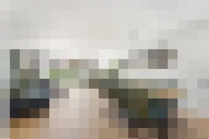 Schildmos 44 Alblasserdam thumbnail 11