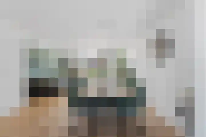 Schildmos 44 Alblasserdam thumbnail 12