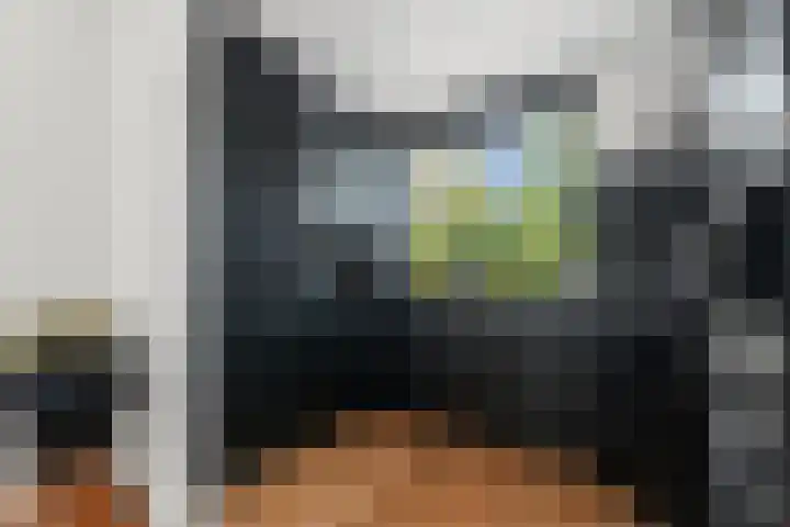 Schildmos 44 Alblasserdam thumbnail 16