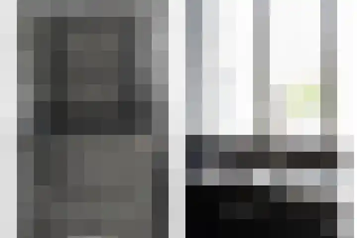 Schildmos 44 Alblasserdam thumbnail 17