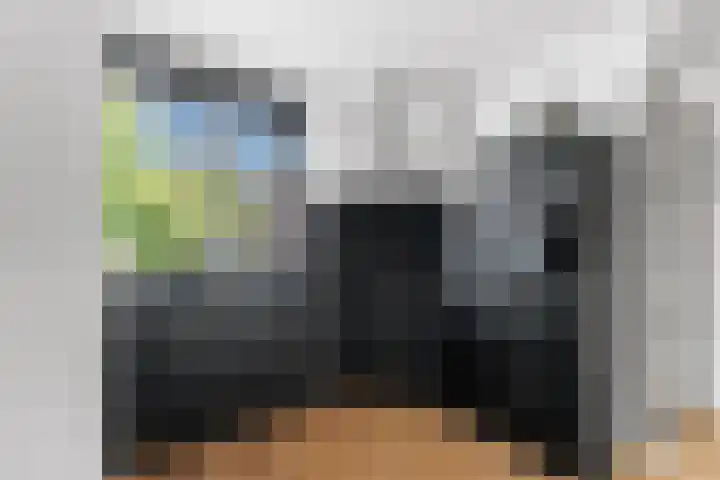 Schildmos 44 Alblasserdam thumbnail 18