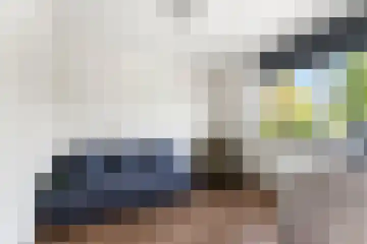 Schildmos 44 Alblasserdam thumbnail 27