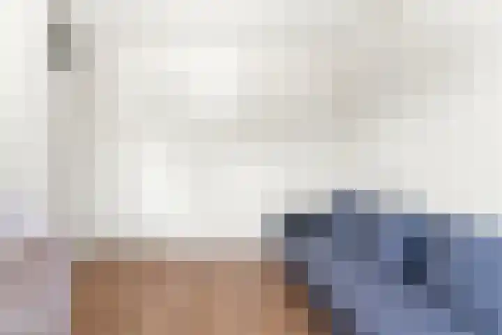 Schildmos 44 Alblasserdam thumbnail 28