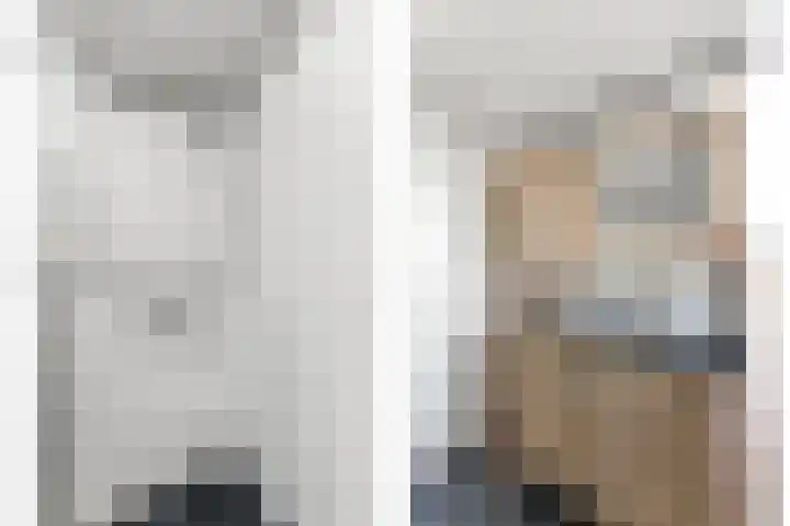 Schildmos 44 Alblasserdam thumbnail 30