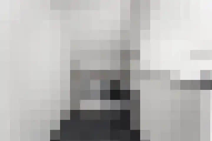 Schildmos 44 Alblasserdam thumbnail 32