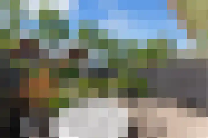 Schildmos 44 Alblasserdam thumbnail 38