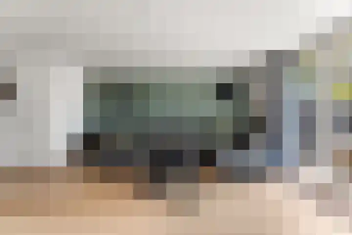 Schildmos 44 Alblasserdam thumbnail 4