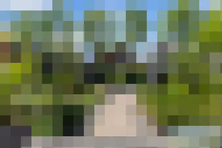 Schildmos 44 Alblasserdam thumbnail 40